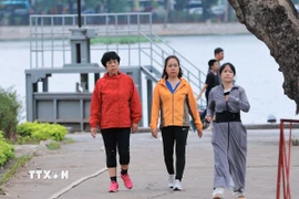 Ảnh minh họa. (Ảnh: Hoàng Hiếu/TTXVN)