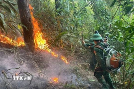 Cán bộ, chiến sỹ Đồn Biên phòng Roòn tham gia dập tắt cháy rừng. (Ảnh: TTXVN phát)