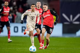 Bayern sẽ đối đầu Leverkusen trong trận 'nội chiến Đức' ở Champions League. (Nguồn: Getty Images)
