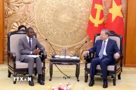 Tổng Bí thư Tô Lâm tiếp ông Lazare Eloundou Assomo, Giám đốc Trung tâm Di sản Thế giới của Tổ chức Giáo dục, Khoa học và Văn hóa của Liên hợp quốc (UNESCO). (Ảnh: Phạm Kiên/TTXVN)