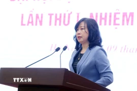 Đồng chí Đào Hồng Lan, Ủy viên Trung ương Đảng, Bộ trưởng Bộ Y tế trả lời câu hỏi của phóng viên các cơ quan thông tấn, báo chí. (Ảnh: Phạm Kiên/TTXVN)