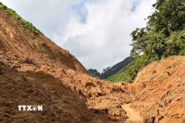 (Ảnh minh họa: Thanh Phúc/TTXVN phát)