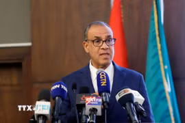 Ngoại trưởng Ai Cập Badr Abdelatty phát biểu tại Cairo. (Ảnh: THX/TTXVN)