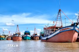 Các tàu cá neo đậu tại cửa biển Gành Hào, huyện Đông Hải, tỉnh Bạc Liêu. (Ảnh: TTXVN phát)