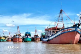 Các tàu cá neo đậu tại cửa biển Gành Hào, huyện Đông Hải, tỉnh Bạc Liêu. (Ảnh: TTXVN phát)