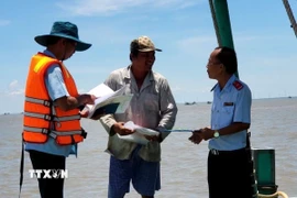 Ngành chức năng kiểm tra việc chấp hành các quy định của ngư dân về chống khai thác IUU. (Ảnh: TTXVN phát)