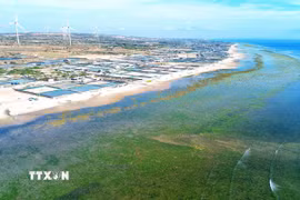 Huyện Thuận Nam, tỉnh Ninh Thuận, được chọn làm địa điểm xây dựng Nhà máy điện hạt nhân Ninh Thuận 1. (Ảnh: TTXVN)