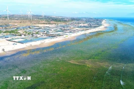 Huyện Thuận Nam, tỉnh Ninh Thuận, được chọn làm địa điểm xây dựng Nhà máy điện hạt nhân Ninh Thuận 1. (Ảnh: TTXVN)