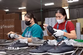 Công nhân tại xưởng sản xuất da giày. (Ảnh minh họa: Trần Việt/TTXVN)