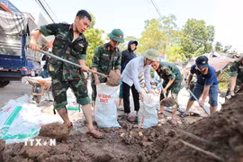 Chủ động phòng chống thiên tai, bão lũ. (Ảnh: Lê Đông/TTXVN)