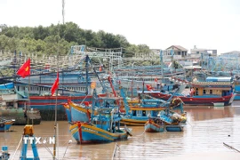 (Ảnh: Nguyễn Thanh/TTXVN)