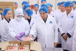 Thủ tướng Phạm Minh Chính tham quan dây chuyền chế biến thịt bò Tam Đảo (xã Minh Quang, huyện Tam Đảo). (Ảnh: Dương Giang/TTXVN)