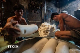 Bột gạo đã được ủ và hấp chín, nhào cho mịn rồi được tạo thành từng khối to hình trụ. (Ảnh: Khánh Hòa/TTXVN)