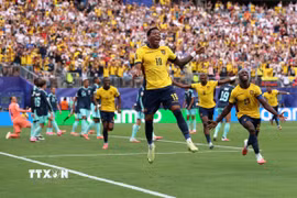 Gonzalo Plata (số 19) tỏa sáng đưa Ecuador vào vòng knock-out World Cup 2026. (Ảnh: AFP/TTXVN)