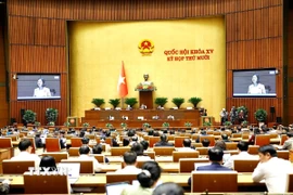 Quang cảnh phiên họp. (Ảnh: Doãn Tấn/TTXVN)