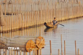 Phá Tam Giang lúc bình minh. (Ảnh: Văn Dũng/TTXVN)