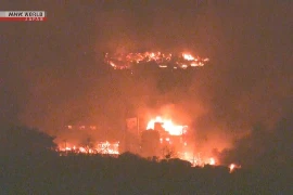 Cháy rừng bùng phát ở thành phố Ofunato, miền Đông Bắc Nhật Bản. (Nguồn: NHK)