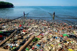 Rác thải nhựa trên bờ biển Sukaraja ở Lampung, Indonesia ngày 4/6/2025. (Ảnh: THX/TTXVN)