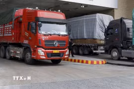 Các mặt hàng nhập khẩu chủ yếu phục vụ sản xuất và tiêu dùng như linh kiện ôtô, máy móc, thiết bị, vật liệu xây dựng và giày dép. (Ảnh minh họa: Quốc Khánh/TTXVN)