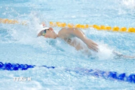 Bơi được kỳ vọng sẽ tiếp tục giành HCV. (Ảnh: Minh Quyết/TTXVN)