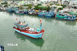 Gia Lai đang thực hiện quyết liệt các giải pháp cấp bách nhằm quản lý chặt chẽ hoạt động khai thác hải sản của ngư dân. (Ảnh: Vũ Sinh/TTXVN)