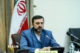 Thứ trưởng Ngoại giao Iran Kazem Gharibabadi. (Ảnh: IRNA/TTXVN)