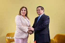 Thủ tướng Phạm Minh Chính gặp Tổng thống Peru Dina Ercilia Boluarte Zegarra. (Ảnh: Dương Giang/TTXVN)