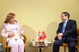 Thủ tướng Phạm Minh Chính gặp Tổng thống Peru Dina Ercilia Boluarte Zegarra. (Ảnh: Dương Giang/TTXVN)