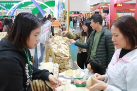 Hội chợ Mùa Xuân rộn ràng không khí mua sắm khi người dân đổ về tham quan.