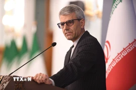 Người phát ngôn Bộ Ngoại giao Iran Esmaeil Baghaei. (Ảnh: THX/TTXVN)