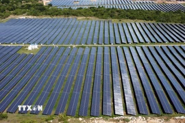 Dự án điện mặt trời. (Ảnh: Huy Hùng/TTXVN)
