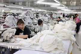 May hàng xuất khẩu. (Ảnh: Trần Việt/TTXVN)