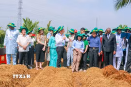Đại biểu Liên minh Nghị viện Pháp ngữ tham quan mô hình trồng nấm rơm ở Hợp tác xã Nông trại xanh - New Green Farm, quận Thốt Nốt. (Ảnh: Thanh Liêm/TTXVN)