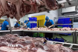 Bảo đảm an toàn thực phẩm dịp Tết Nguyên đán và Lễ hội xuân năm 2025. (Ảnh: Vũ Sinh/TTXVN)