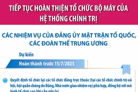 Các nhiệm vụ của Đảng ủy Mặt trận Tổ quốc, các đoàn thể Trung ương