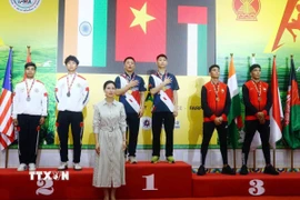 Việt Nam xếp thứ nhất toàn đoàn với 46 huy chương các loại. (Ảnh: Trần Trang/TTXVN)