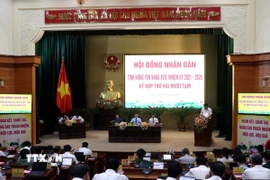 Quang cảnh Kỳ họp. (Ảnh: Đinh Văn Nhiều/TTXVN)