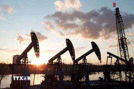 Giàn khoan dầu tại tỉnh Hắc Long Giang, Trung Quốc. (Ảnh: THX/TTXVN)