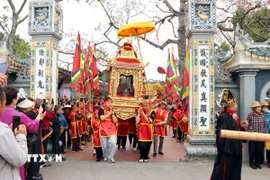 Nghi lễ rước bộ tại lễ hội. (Ảnh: Mạnh Tú/TTXVN)