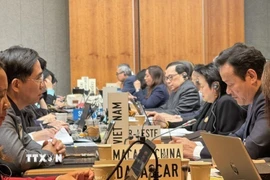 Đại sứ Mai Phan Dũng (bên phải) và Tham tán Công sứ Phạm Quang Huy (bên trái). (Ảnh: TTXVN phát)