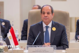 Tổng thống Ai Cập Abdel Fattah al-Sisi. (Ảnh: THX/TTXVN)