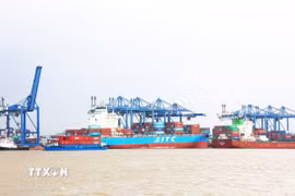 Tàu trọng tải lớn cập Cảng Cát Lái, thành phố Thủ Đức. (Ảnh: Hồng Đạt/TTXVN)
