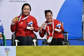Bảng tổng sắp chung cuộc của đoàn Việt Nam tại ASEAN Para Games 13