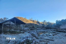 Vùng núi cao cần đề phòng xảy ra băng giá. (Ảnh: Hương Thu/TTXVN)