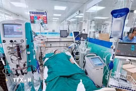 Bệnh nhân được cấp cứu tại Khoa Hồi sức tích cực-Chống độc yêu cầu, Bệnh viện Đa khoa tỉnh Phú Thọ. (Ảnh: TTXVN phát)