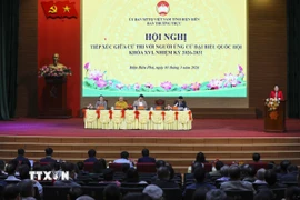 Quang cảnh Hội nghị. (Ảnh: Xuân Tư/TTXVN)
