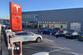 Hãng xe điện Tesla đã mất trắng khoảng 200 tỷ USD giá trị vốn hóa thị trường. (Ảnh: Hương Giang/TTXVN)