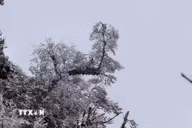Vùng núi cao có khả năng xảy ra băng giá. (Ảnh: TTXVN phát)