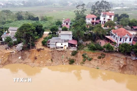 Sạt lở nghiêm trọng bờ sông Lô tại khu 20, xã Dân Chủ, tỉnh Phú Thọ. (Ảnh: Tạ Toàn/TTXVN)
