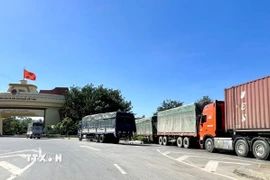 Tại Quảng Trị, trên tuyến biên giới và khu vực cửa khẩu, các lực lượng chức năng chủ động triển khai đồng bộ nhiều biện pháp nhằm ngăn chặn buôn lậu dịp cuối năm. (Ảnh: Võ Dung/TTXVN)